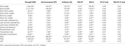 Soil Application of Wheat Straw Vermicompost Enhances Morpho-Physiological Attributes and Antioxidant Defense in Wheat Under Drought Stress